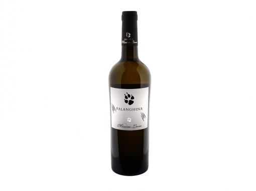 Cantine Massimo Leone Falanghina Puglia Foggia IGT