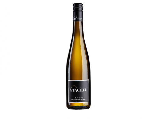 Weingut Erich Stachel Diedesfelder Paradies Sauvignon Blanc QbA Pfalz